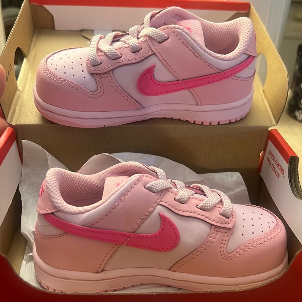 Brand new Nike Dunk Low